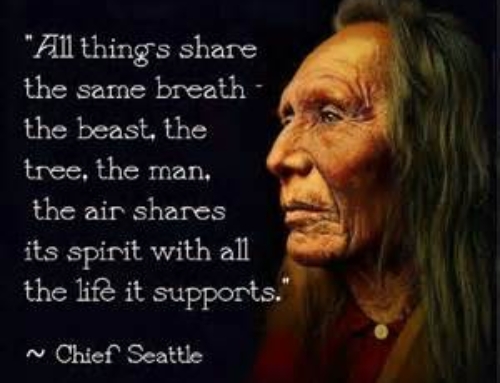 Every part of the earth is sacred to my people.-Chief Seattle